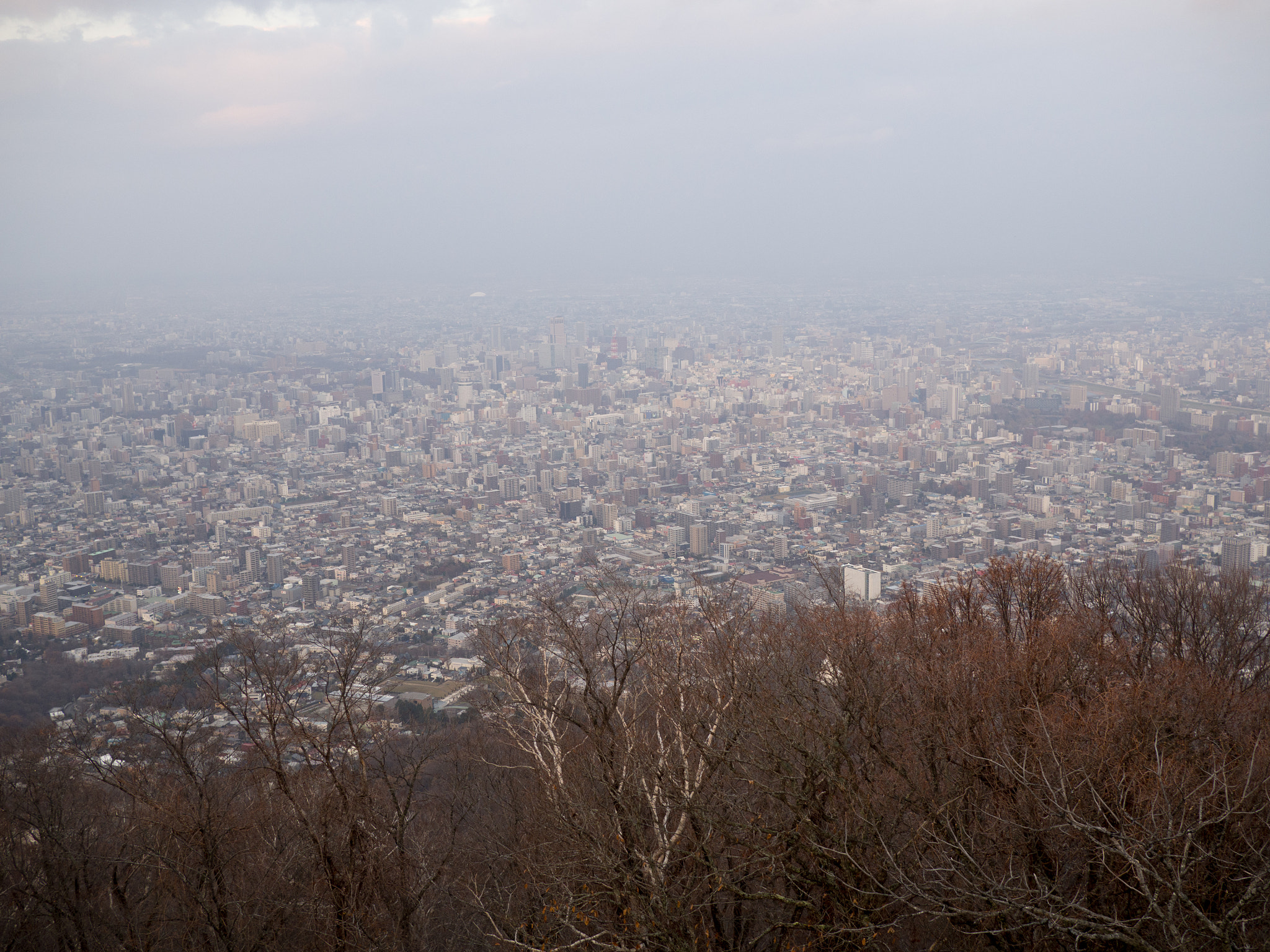 昼の藻岩山からの札幌市街の眺め