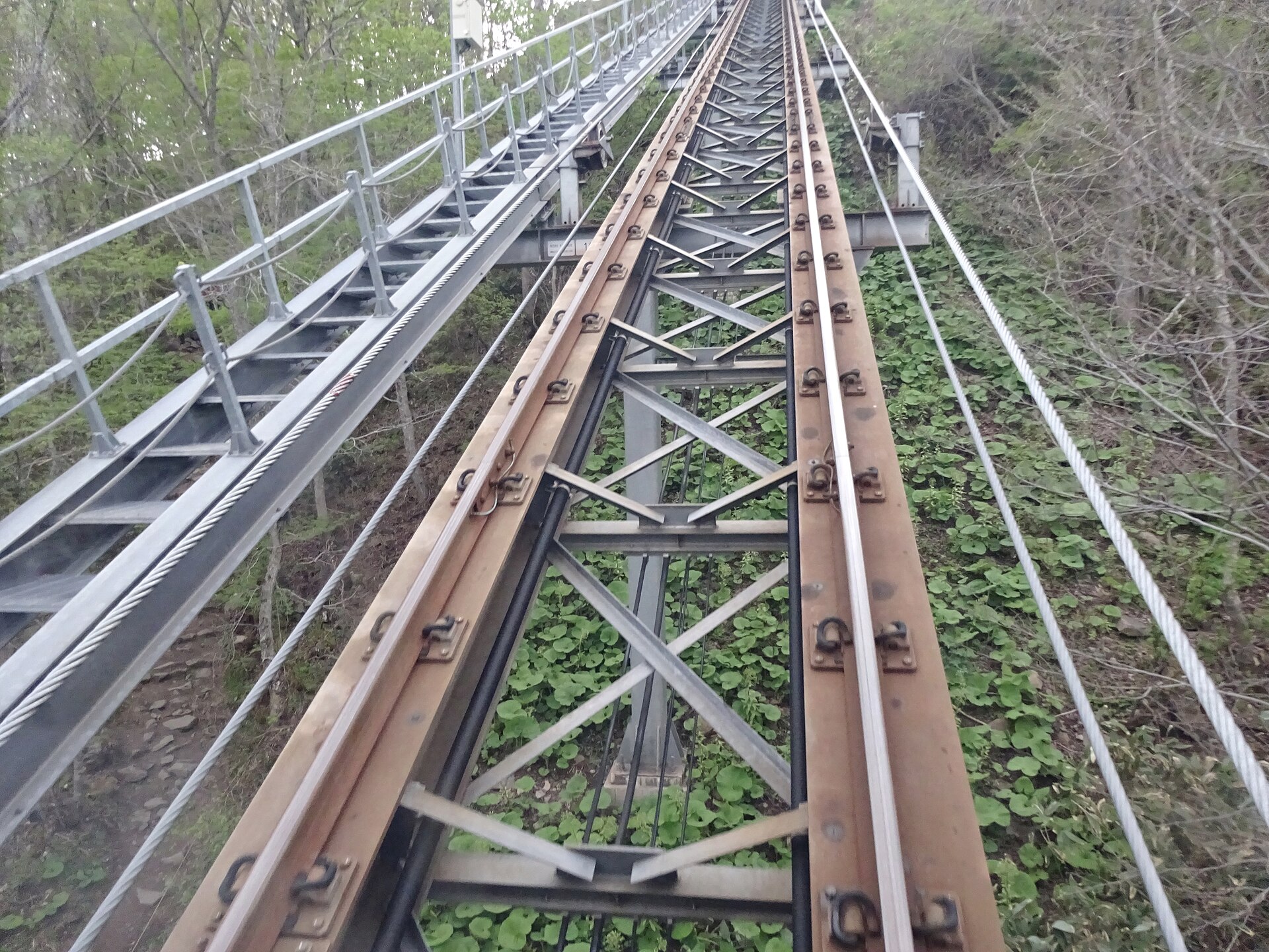 山の斜面を上る軌道を下から見上げた写真
