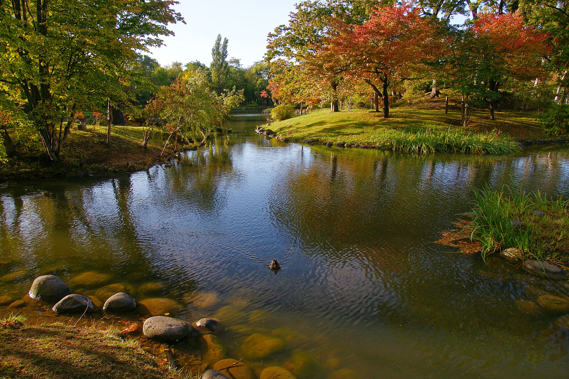 中島公園の池と紅葉