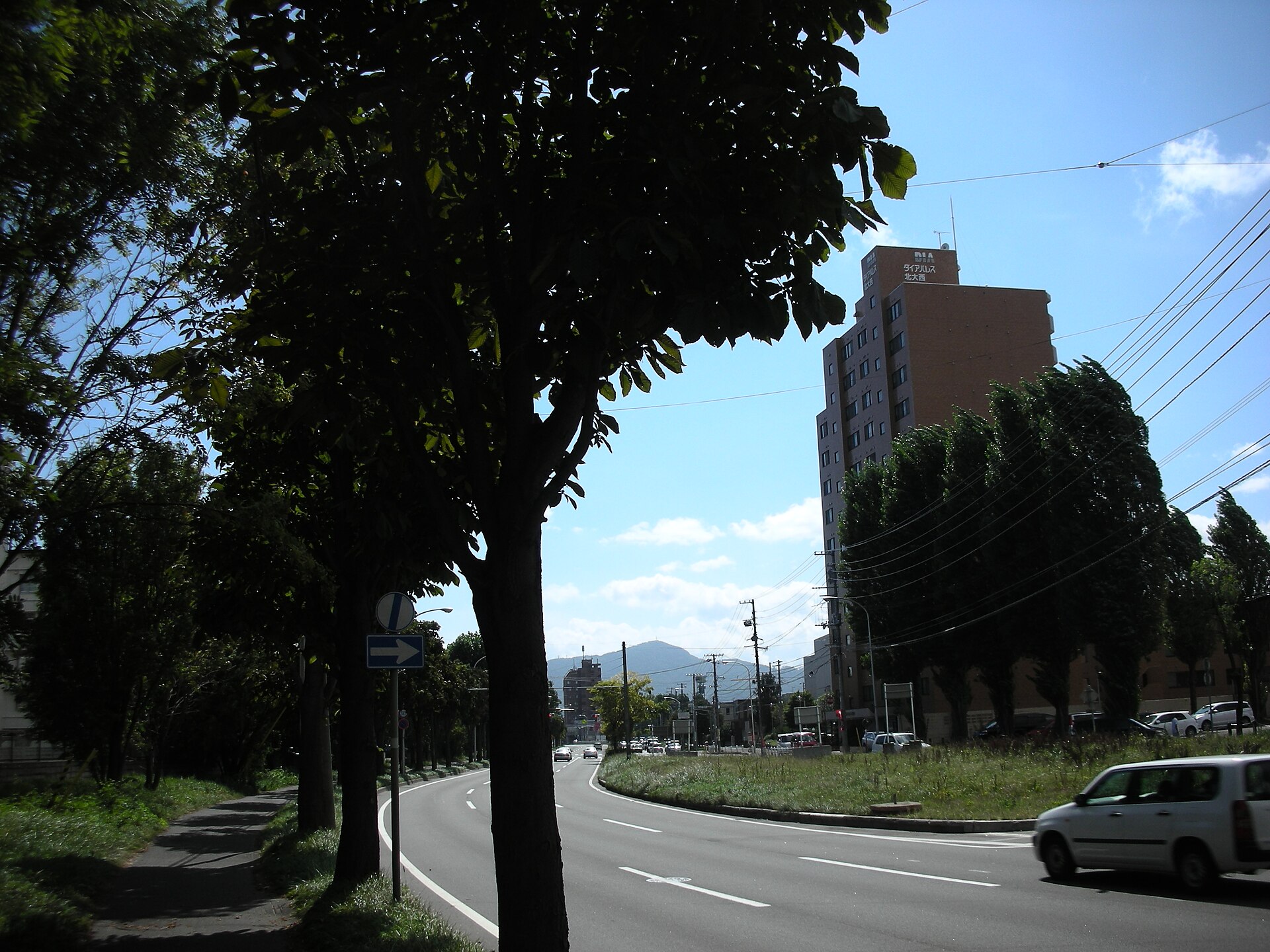 北21条西付近の街路樹のある道路