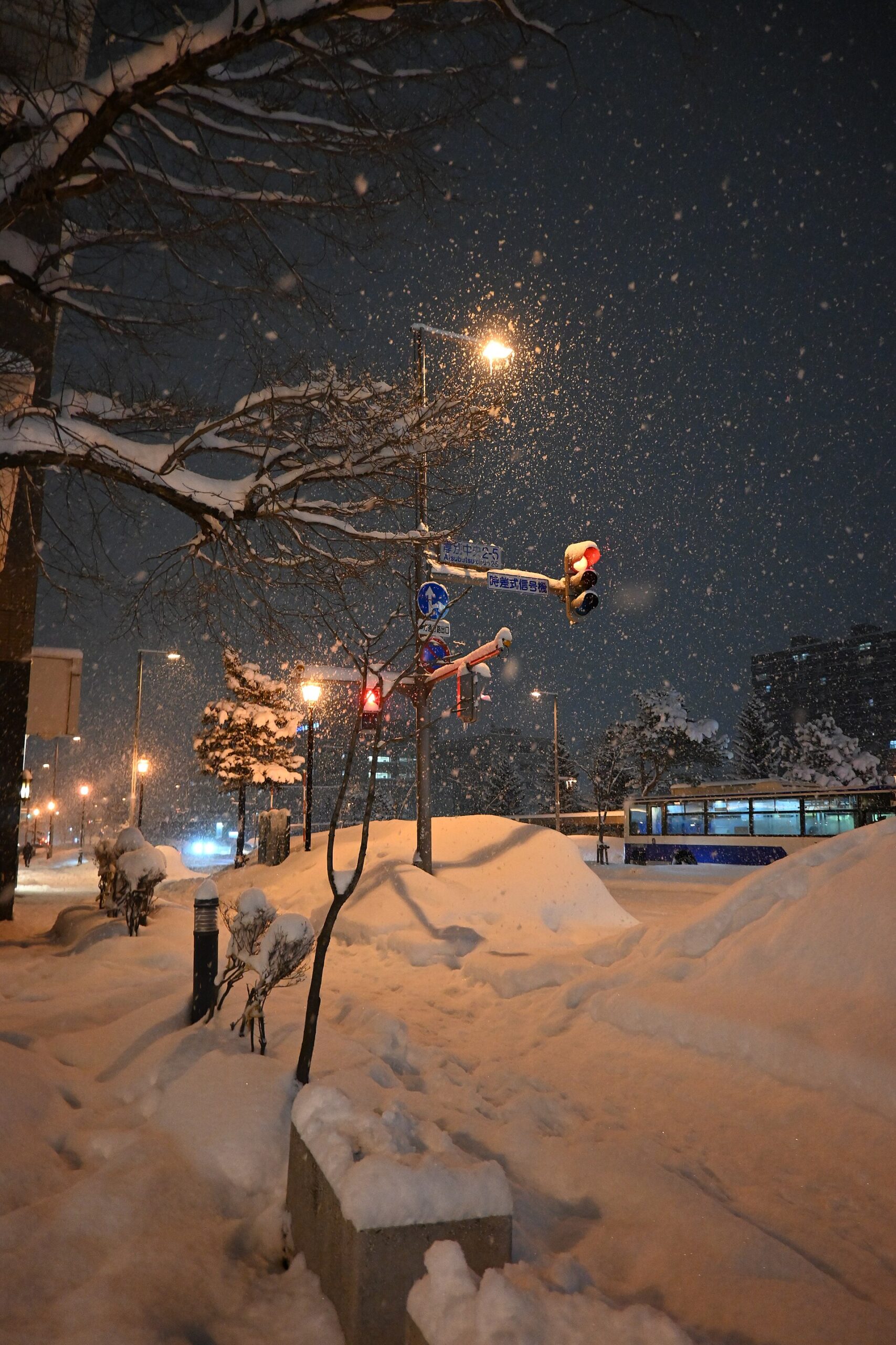 雪が積もった夜の札幌の街
