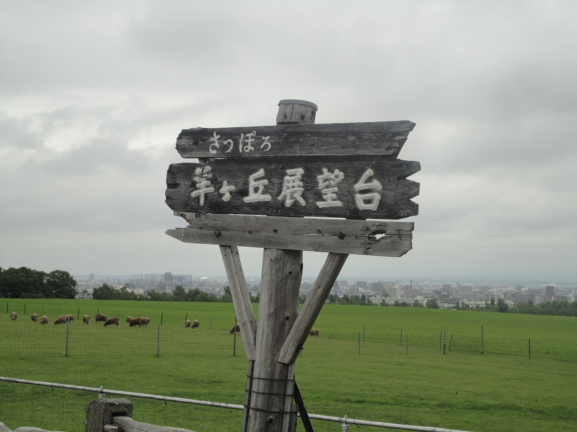 さっぽろ羊ヶ丘展望台の木の看板と、羊のいる牧草地
